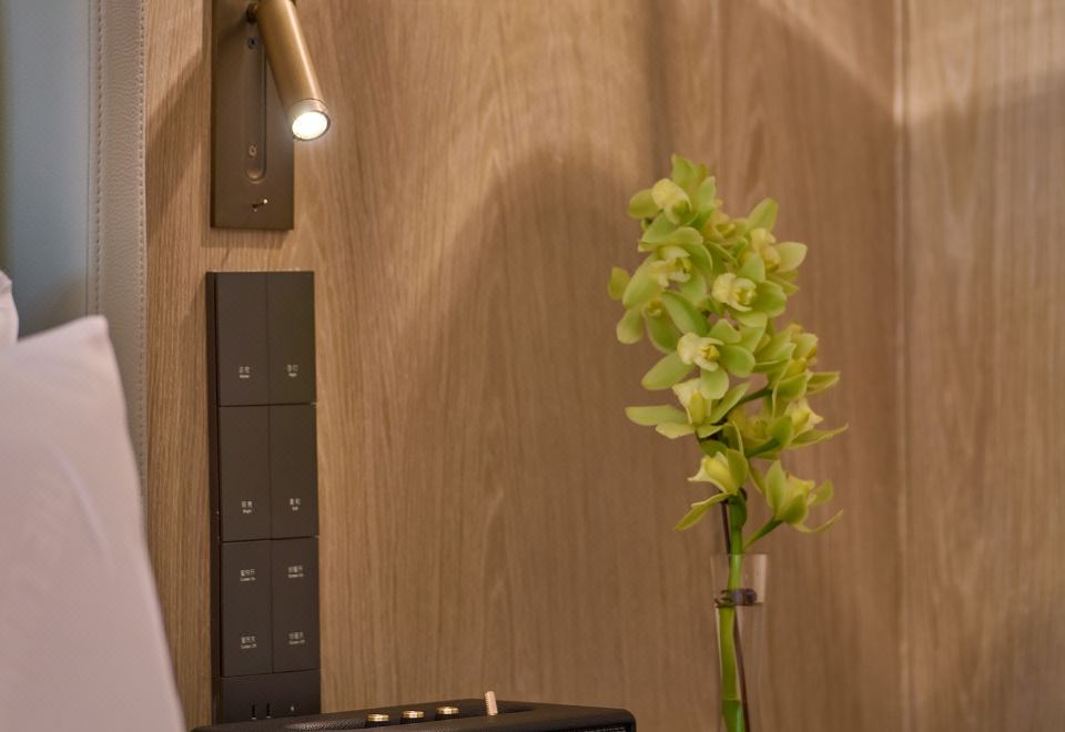 貴賓軒湖景大床房