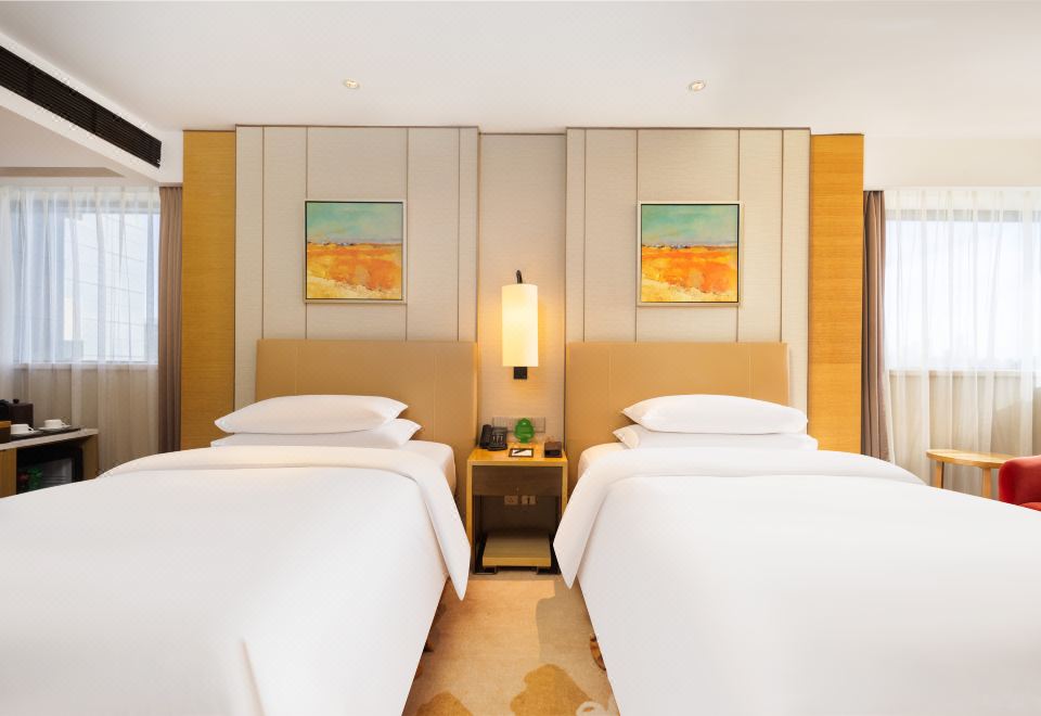 维景高级双床间