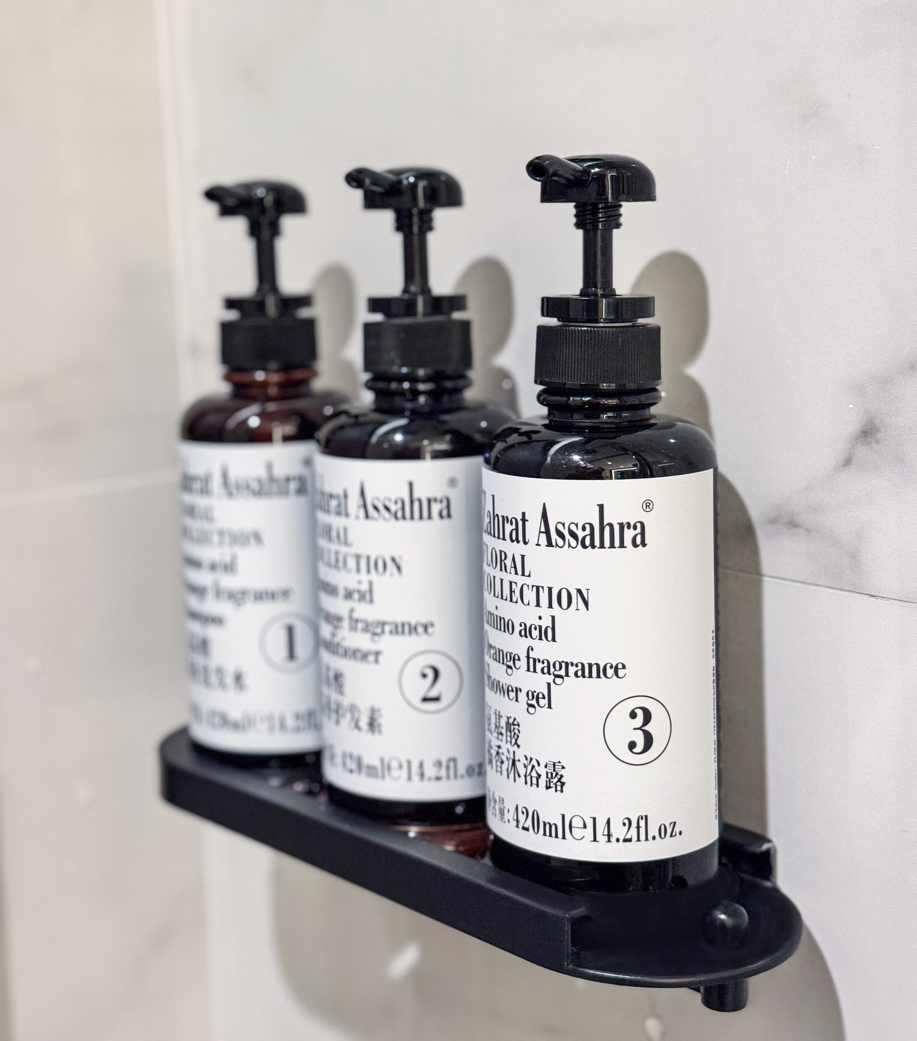 丽致城景双床房