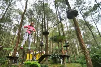 Kopeng Treetop Cabin Adventure Park Hotels in 