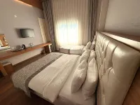 Parion Hotel Hotels in 