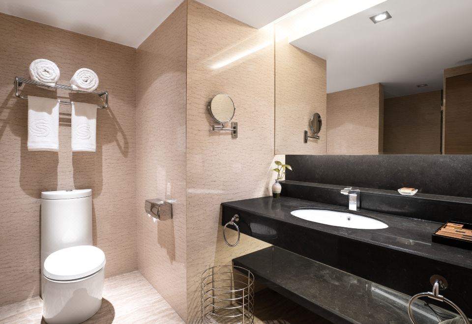 豪华双床房（负氧离子+空气净化设备）