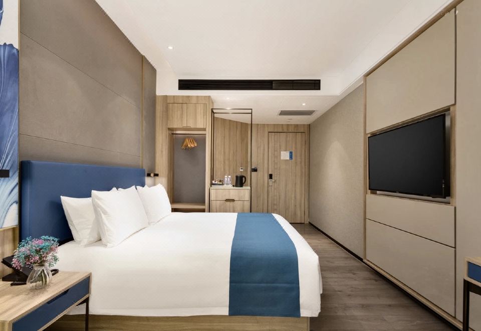 氧吧舒适大床房（负离子净化器+零压床垫）