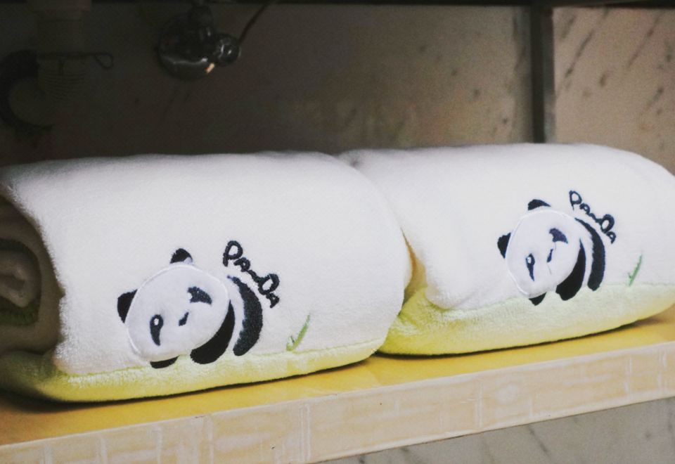 探索星空家庭房