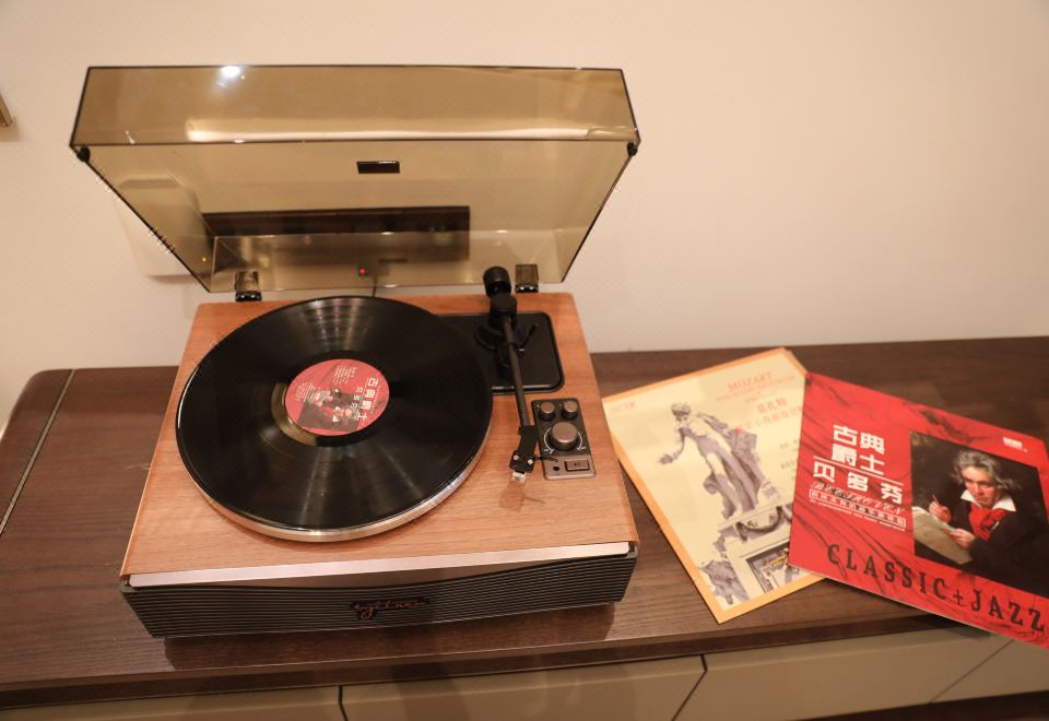 環游·奧地利黑膠醉響庭院私湯大床別墅