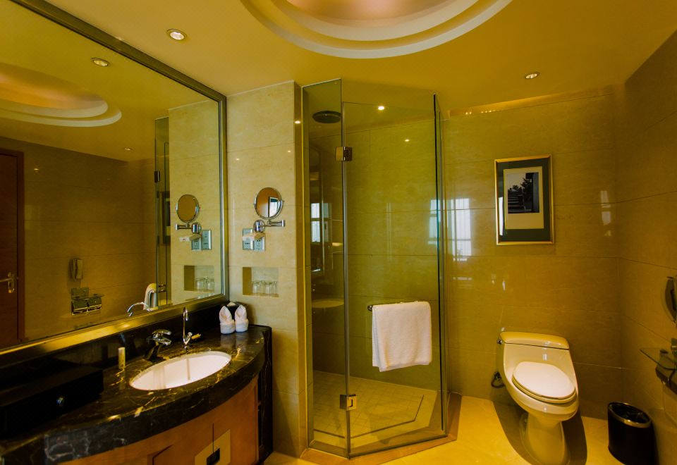 雅致城景单人间