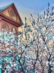 Hi YiLi·blue lane villa(Yili Old Town Kazanqi Branch)