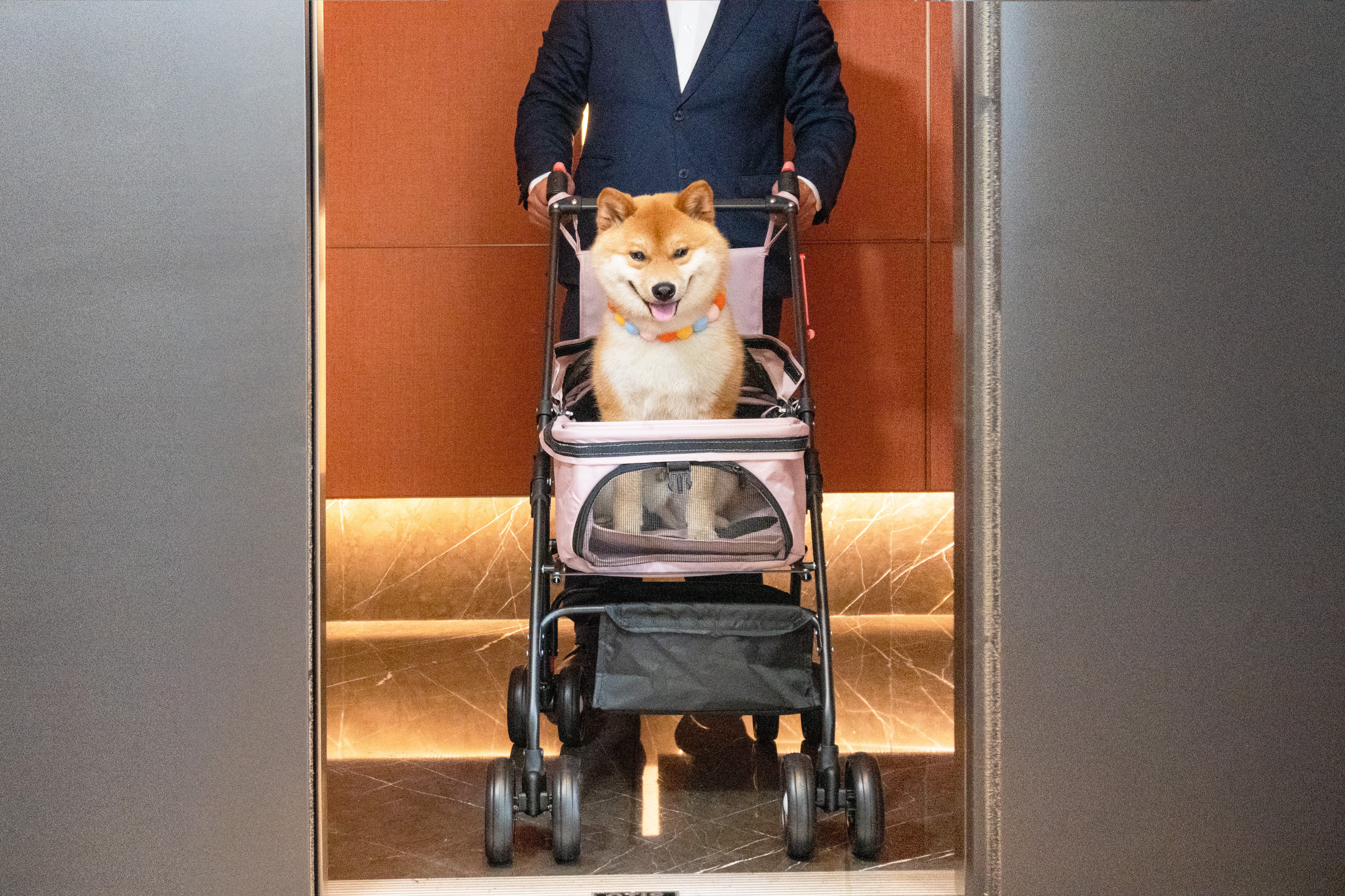 宠物阳台双床房