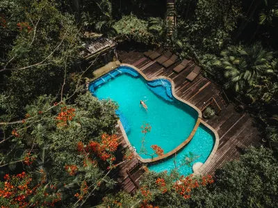 The Vatika Resort and Spa Hotels in 