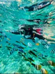 Lingshui Banxia SEAVIEW RESORT Scenic Hotel (Clear Water Bay)