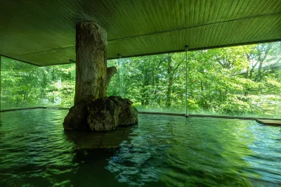 KAMENOI HOTEL TAZAWAKO Hotéis em 