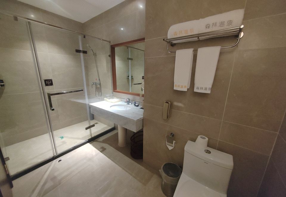 内景豪华舒适大床房【廊窗】