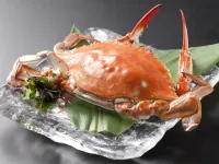 Shuku Kaifuu Các khách sạn ở Minamichita