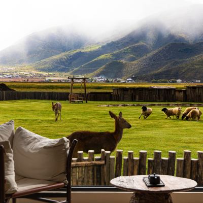 是曠野的風｜草原雪山景觀木屋大床房 麗思漫丨心宿·穹廬四野供氧莊園（香格里拉店）優惠