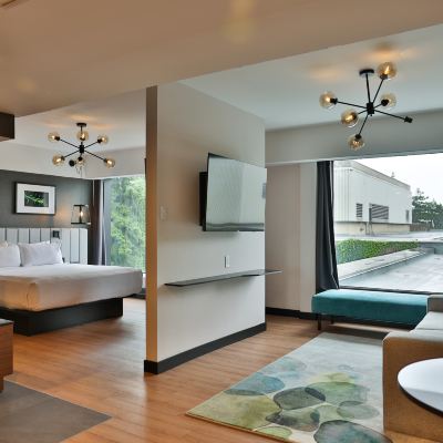 一室套房 蒙特利爾文德酒店優惠