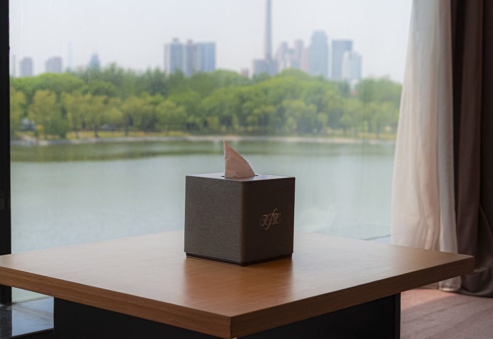 舒逸城市景观房