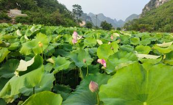 Xiangxingshenghe Hotel - Housity