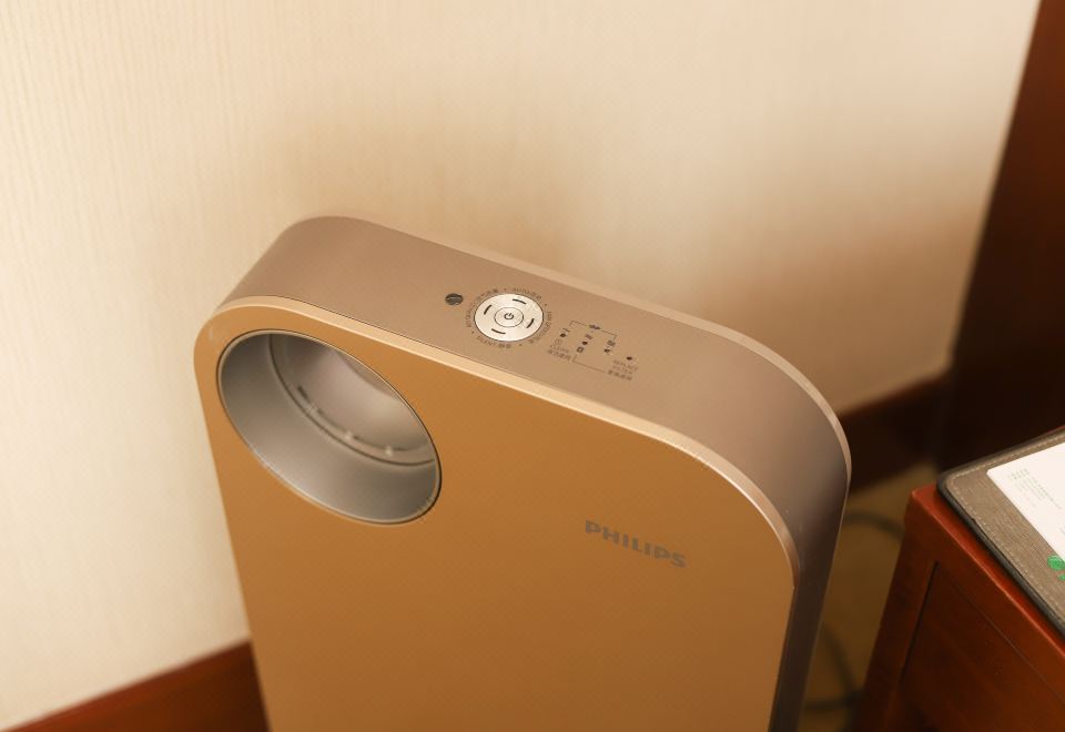 主楼尊享大床房 | 静谧庭院景