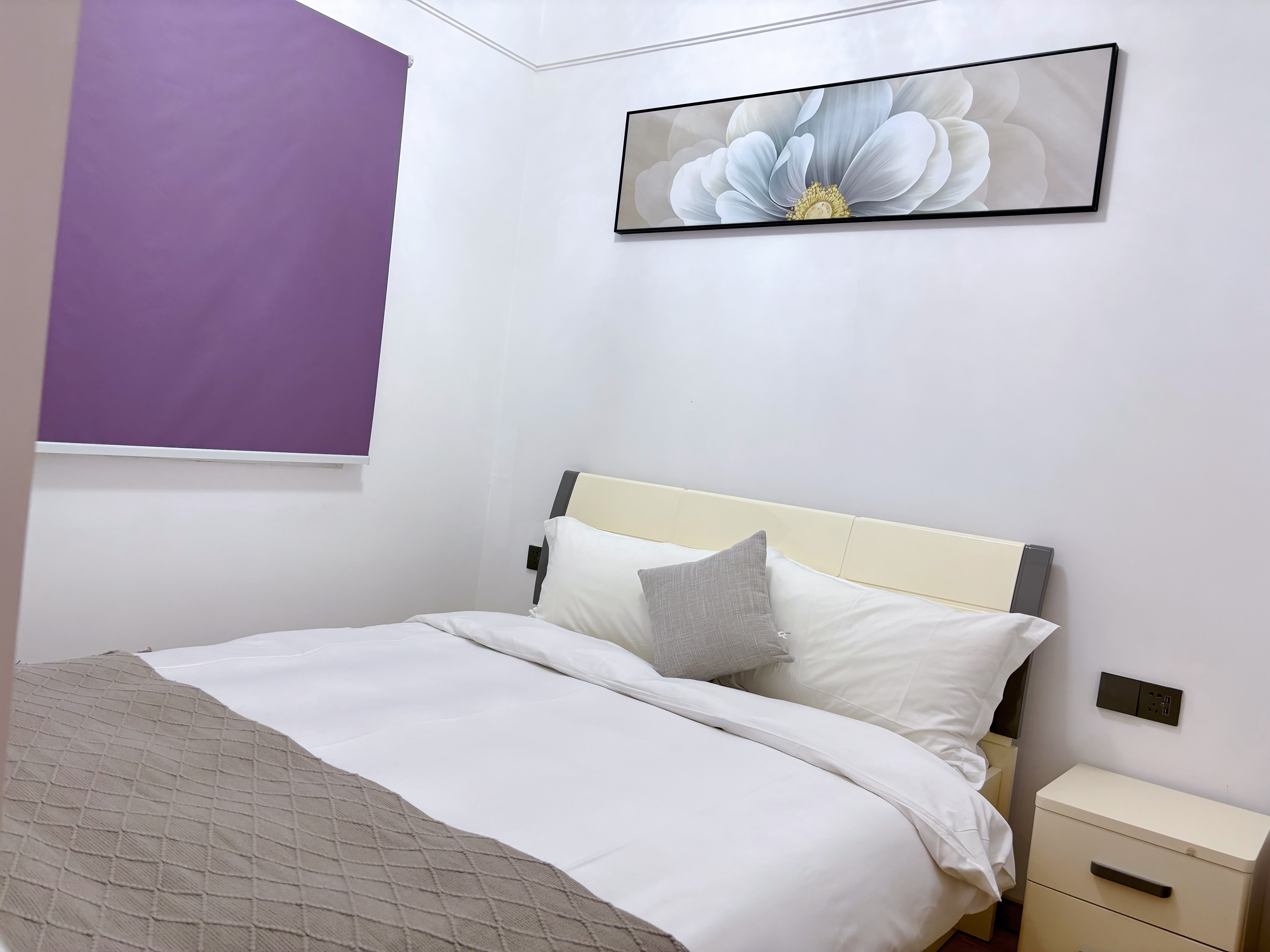 豪华家庭二室套房（阳台+冰箱+洗衣机）