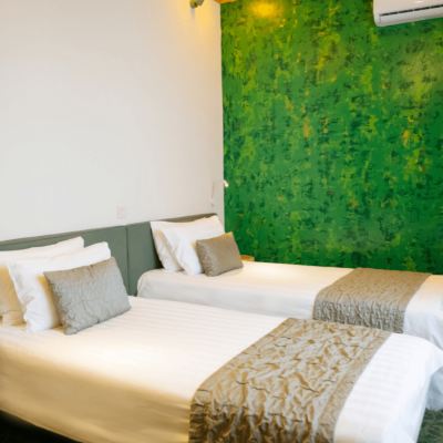Standard Twin/Double Room Taiga Promo Code