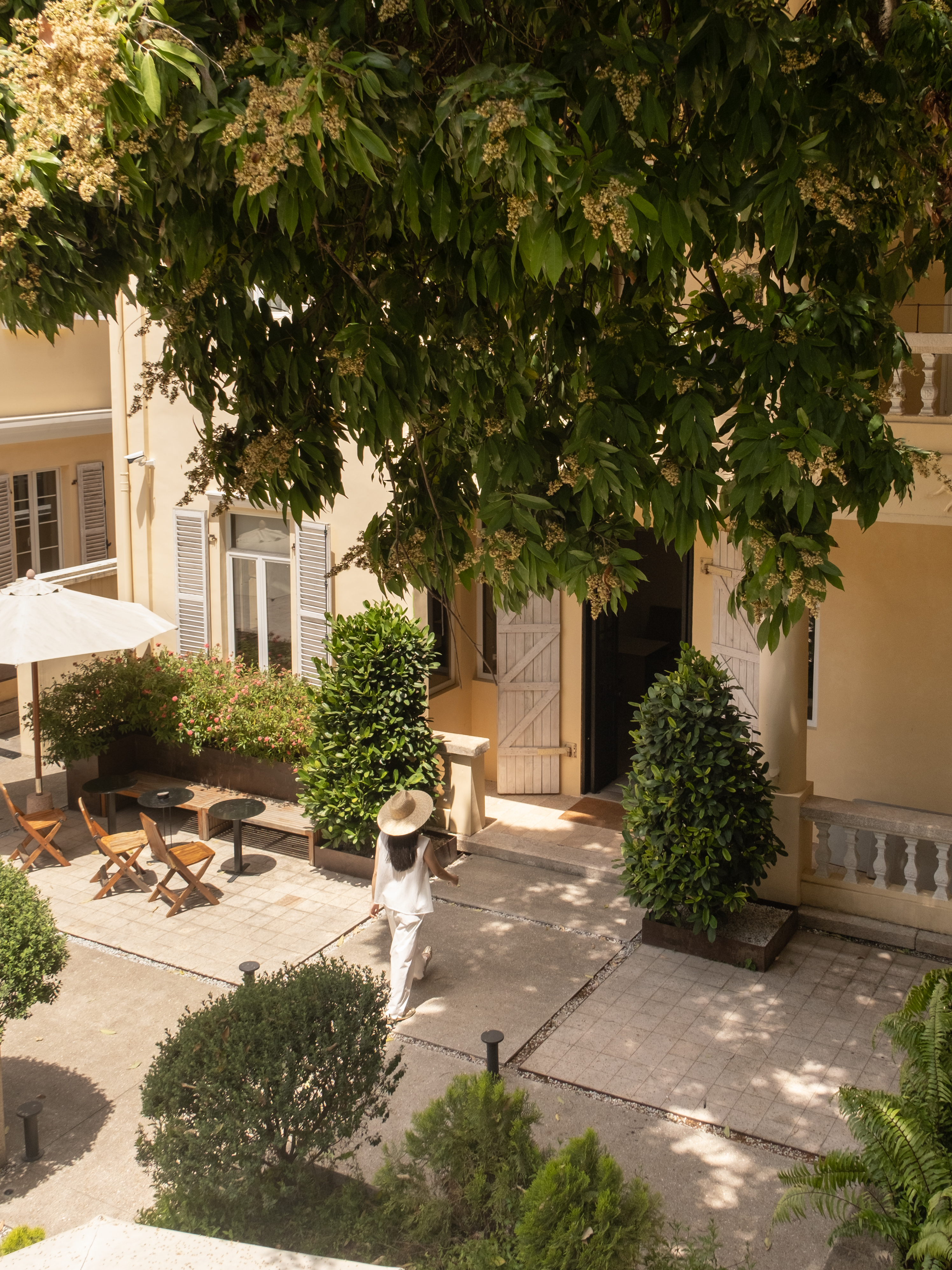 大紀元揭露毛巾細菌秘密- 洗衣院衛生隱憂曝光