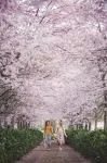 English Cherry Tree Manor Hoteles en 