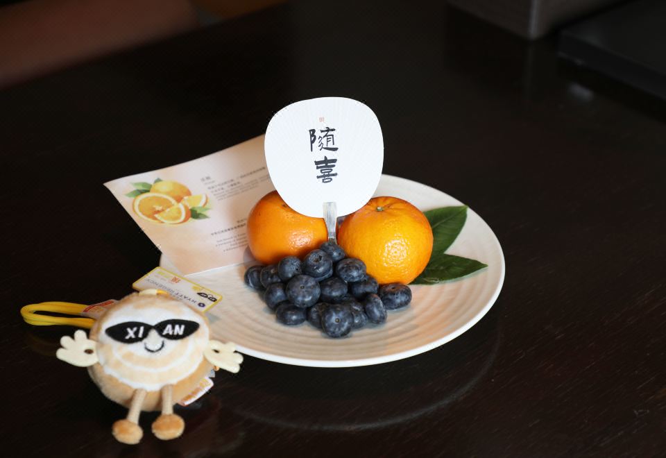 Hyatt Regency Xi'anSilk Road Theme Family Room