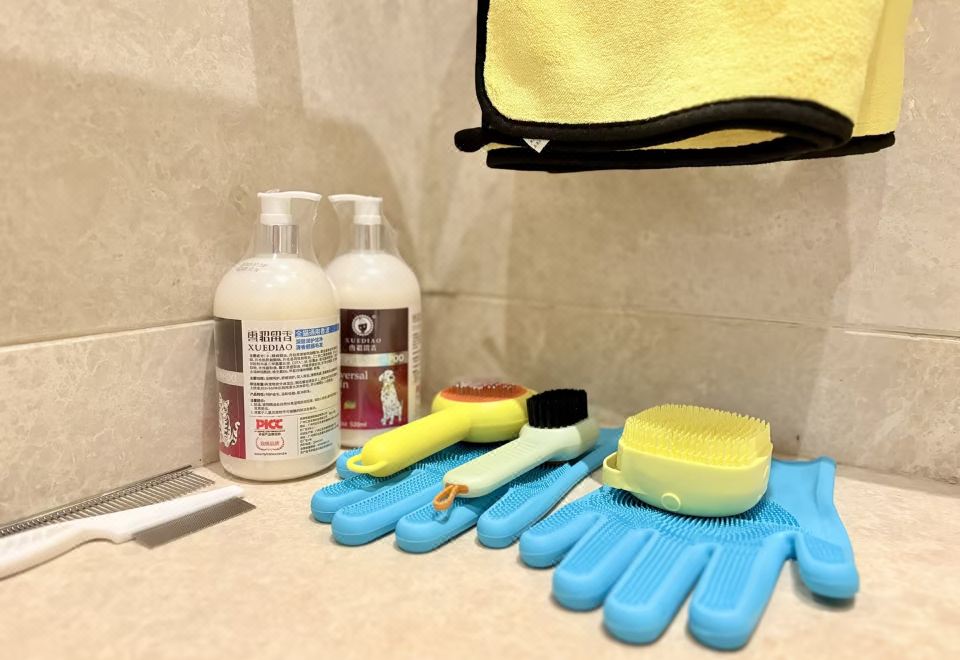 豪华大床房-宠物友好