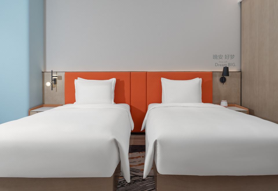 高级心悦房·2张单人床