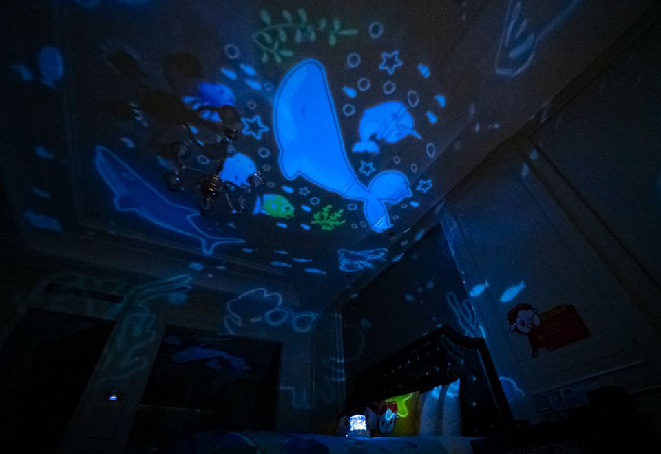 猪猪侠行政亲子房