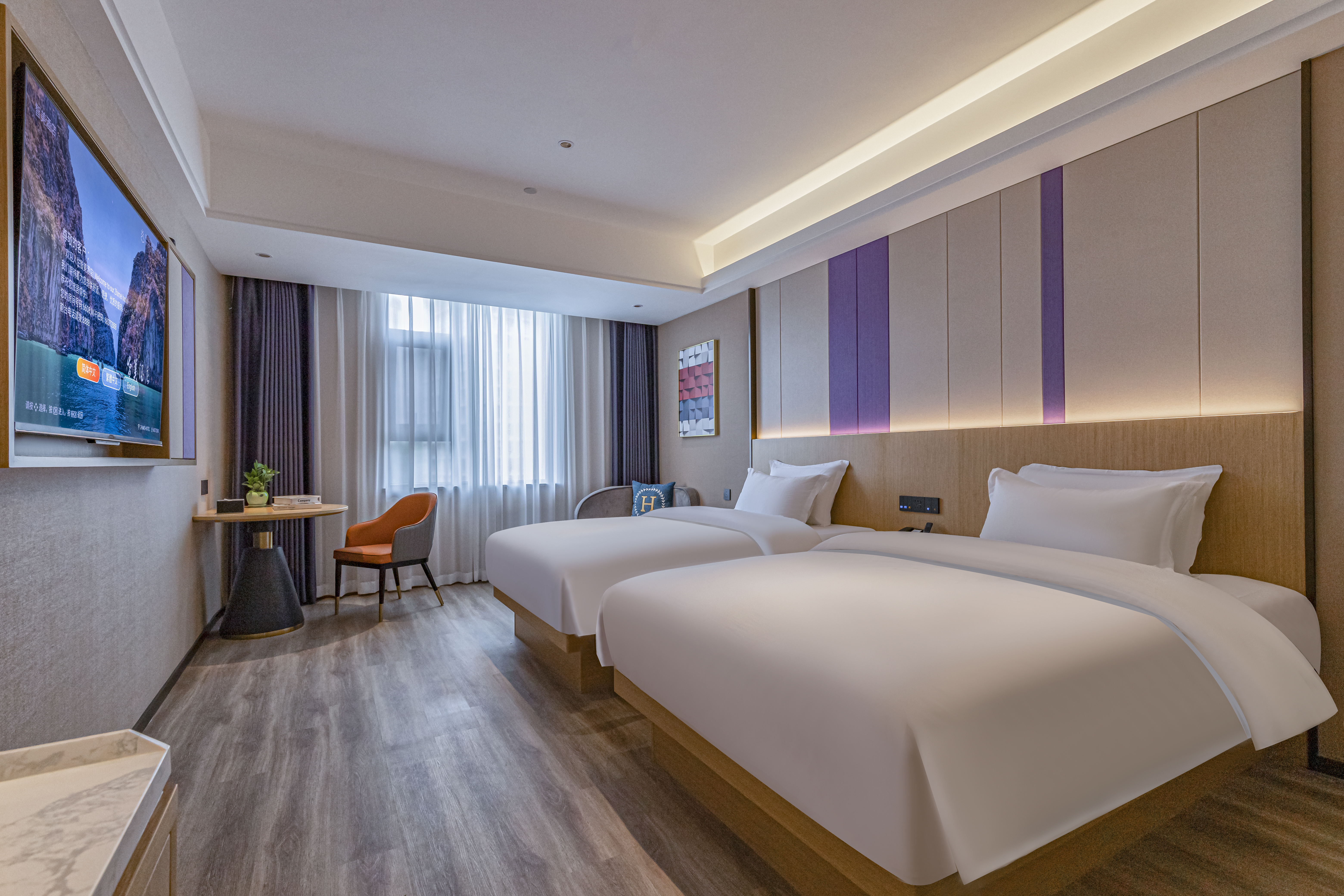 智美园景双床房【智能小度客控+舒适好风景】