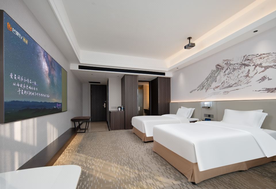 巨幕影音双床房