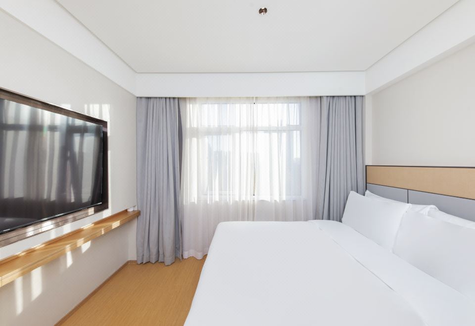 大床房（65寸4K电视投屏+智能客控）