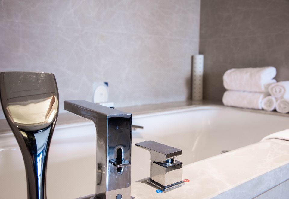 豪華套房（商業街景+AccaKappa洗護）