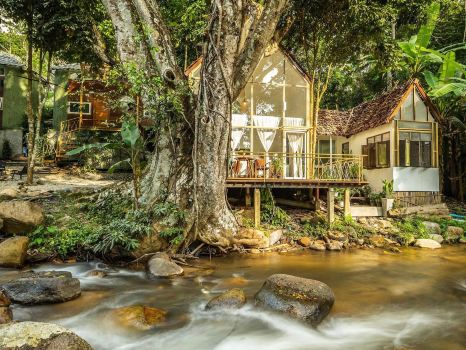 The ForRest Peace Forest (Mae Kampong)
