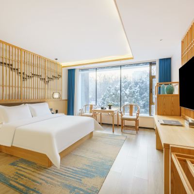 璞雅庭·豪華大床房（金可兒舒睡床品+庭院觀景） 烏魯木齊頤中園飯店（紅山人民公園店）優惠