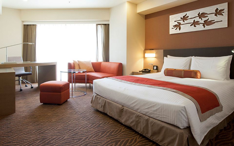 Hotel Sardonyx TokyoDeluxe Double Room-Smoking