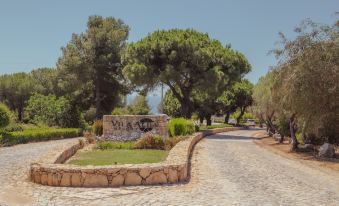 "a winding road leading to a sign for "" vida "" is surrounded by greenery and trees" at Vila Alba Resort