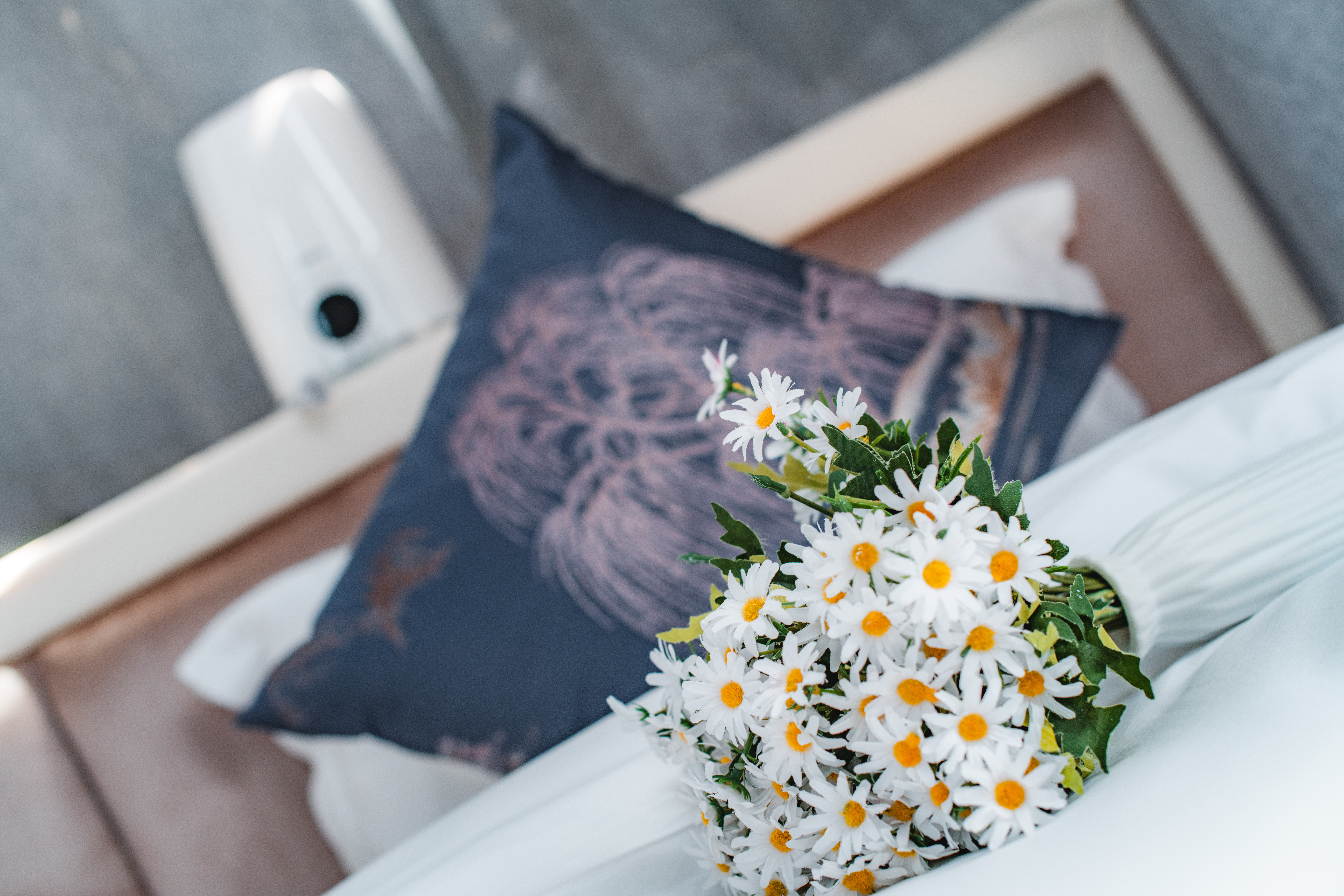 星梦之旅|泡泡屋家庭房-透明星空顶+观景望远镜