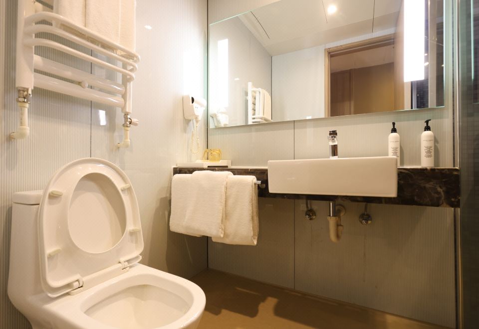 騎行友好雙床房