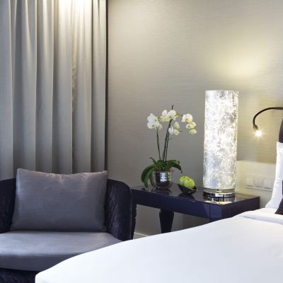 普通套房 維也納萬麗酒店 - 萬豪生活酒店優惠