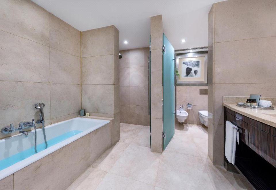 费尔蒙金尊招牌房- 可使用休息室