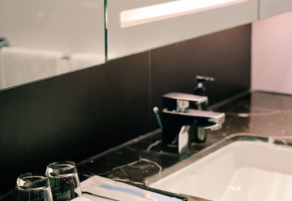 宠物友好豪华行政单房