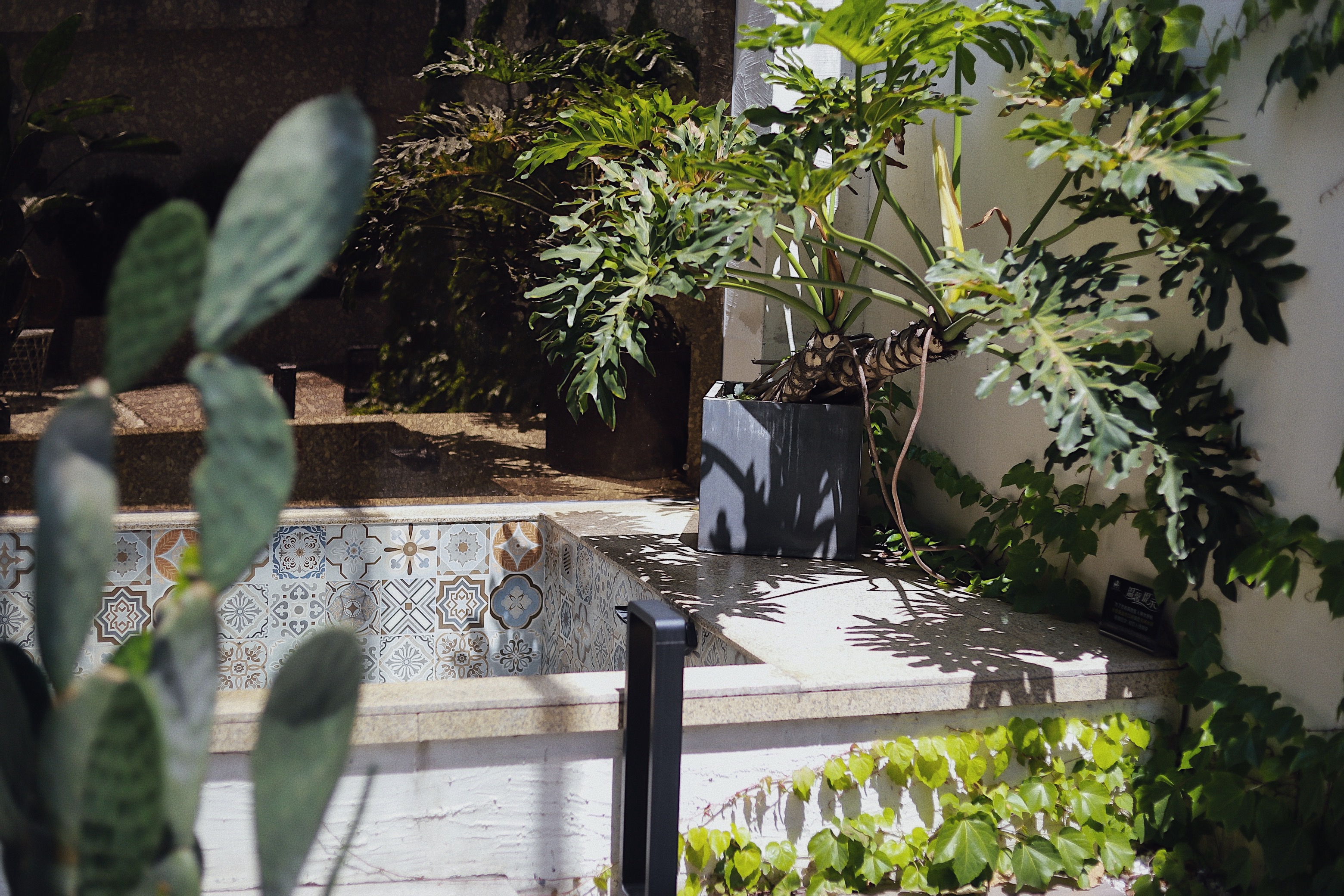 花园泡池大床房