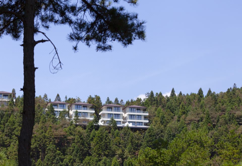 云端双卧泳池别墅