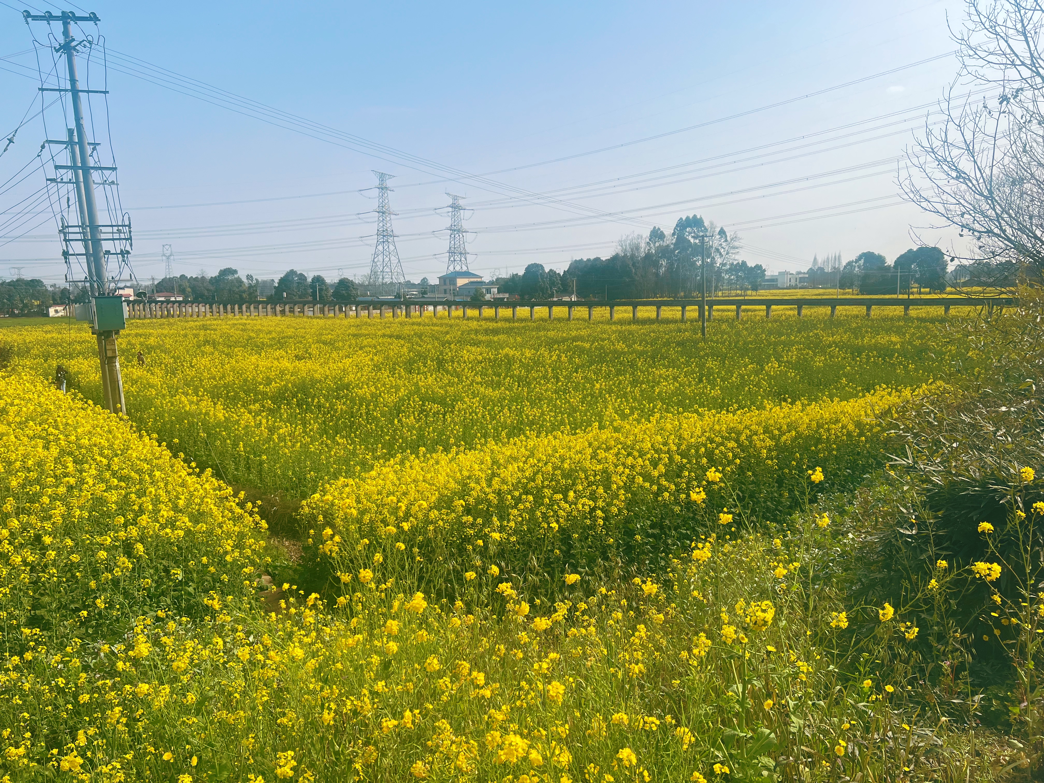 三卧双衞精致花园别院