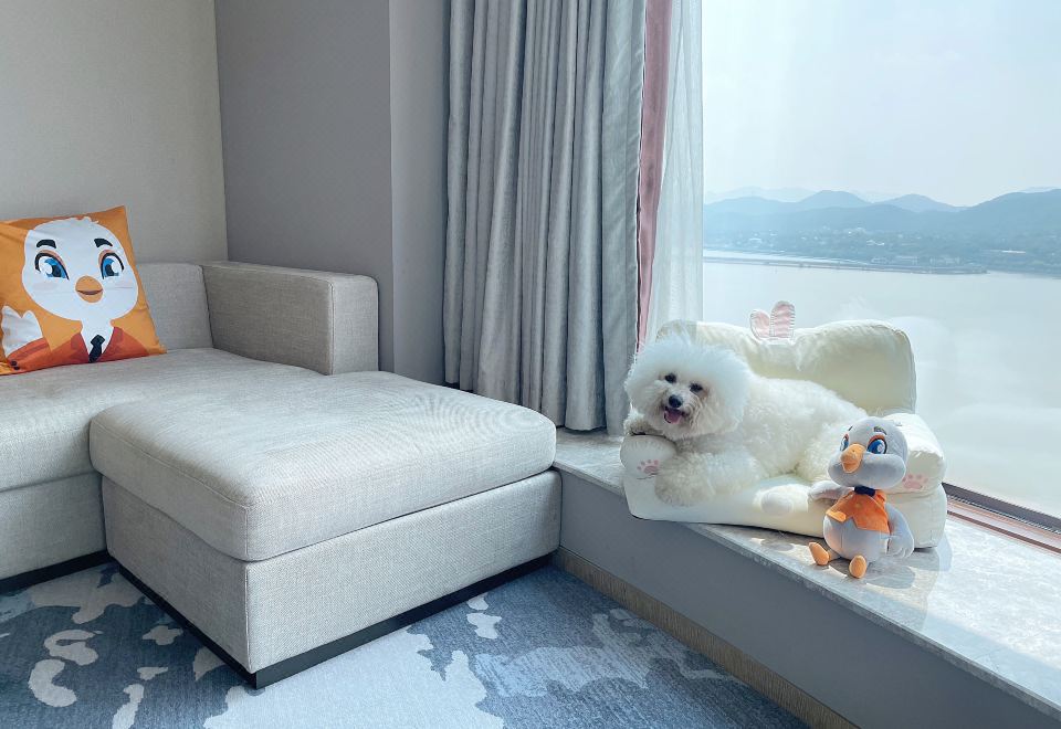 琥珀全江景-寵物房