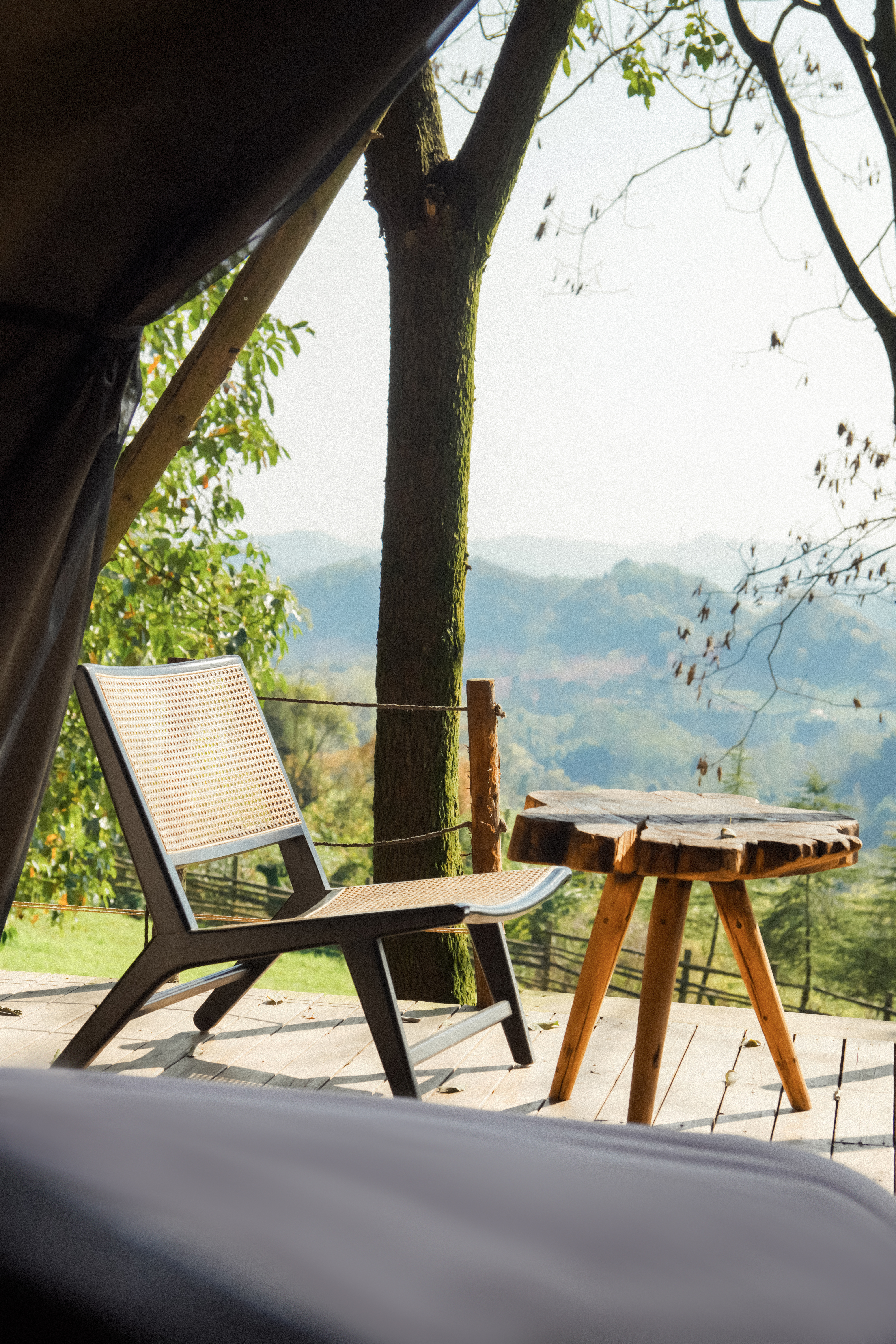 森林帐篷：方舟大床房