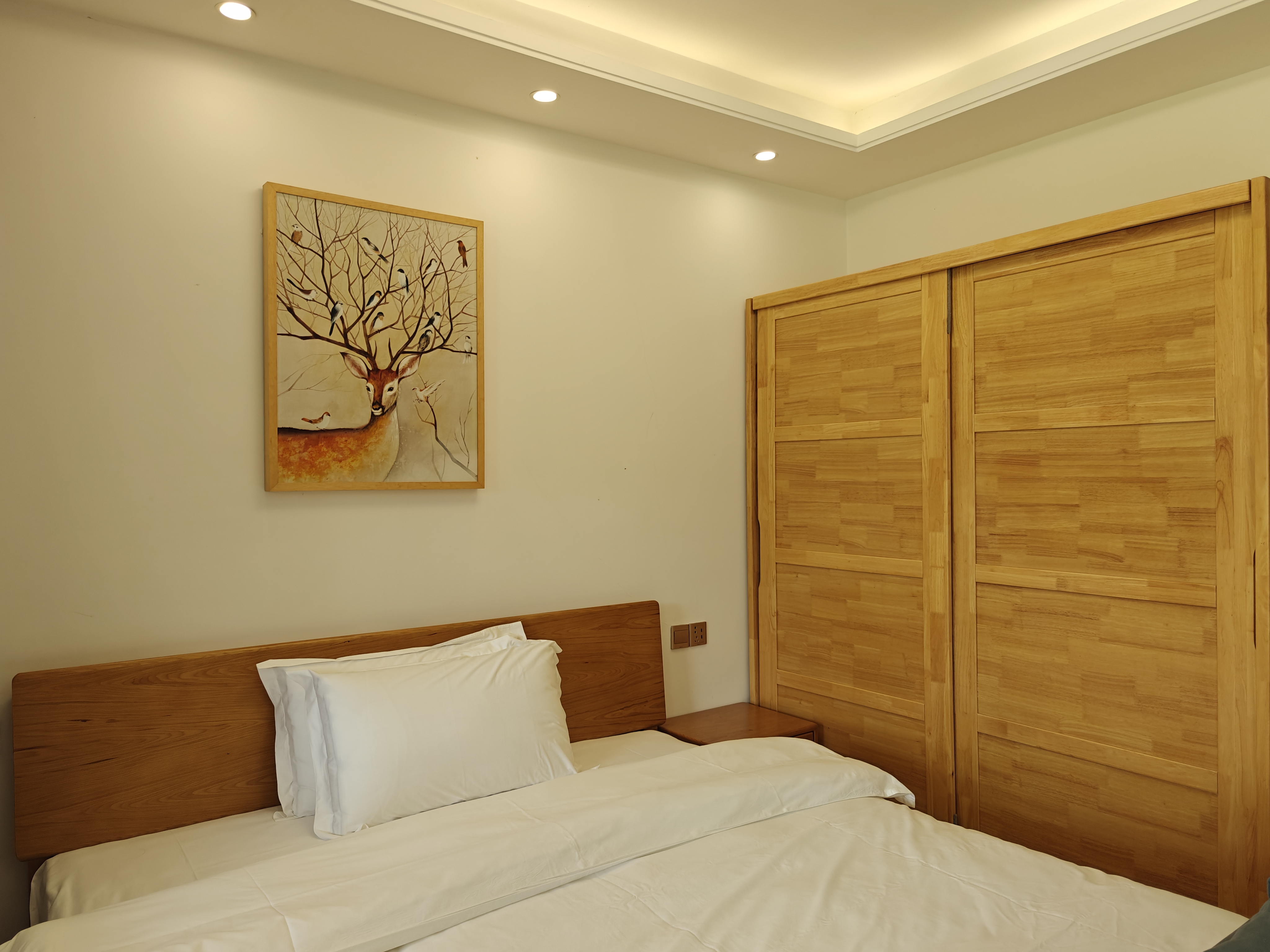 棲雅豪華大床房