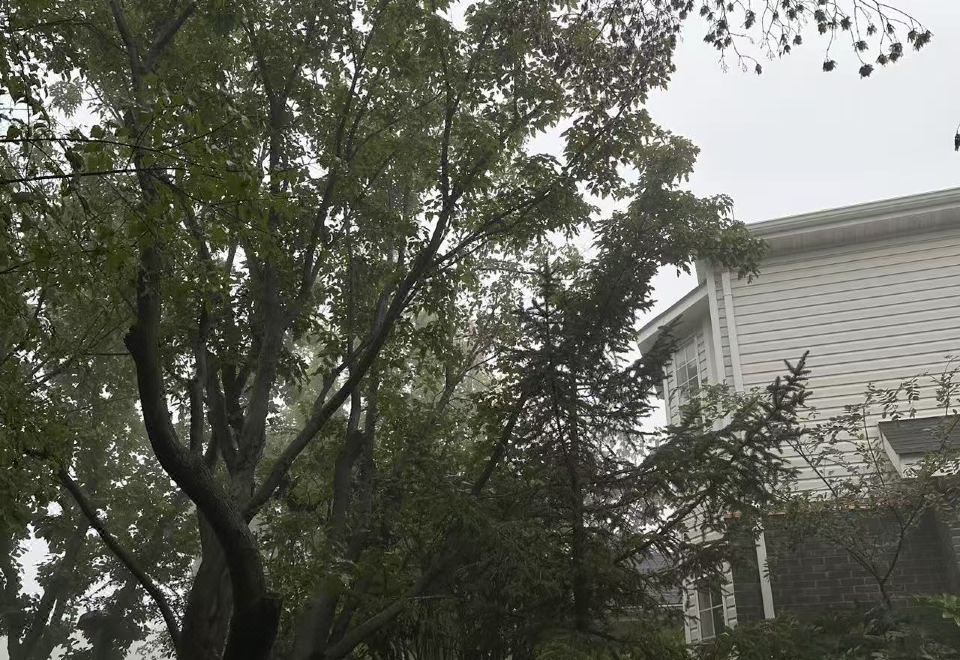 素心山院4房獨棟別墅